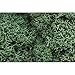 Woodland Scenics Lichen, Light Green WOOL162
