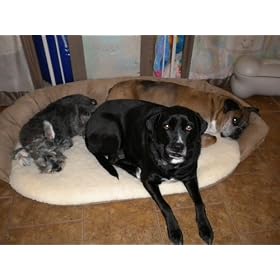 Comfort Pet Products Flip Orthopedic Bolster Pet Bed