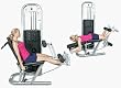 Inflight Fitness Leg Extension/Leg Curl