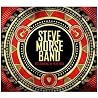 Bild des Albums von Steve Morse