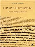 Thinking in literature : Joyce, Woolf, Nabokov
