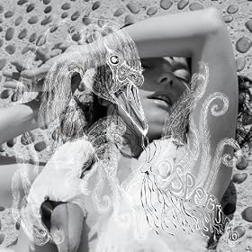 Vespertine (US Internet Release)