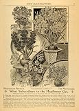619muSlSAAL. SL160  1892 Ad Garden Flower Bulb Daffodil Lily Glory Hyacinth   Original Print Ad