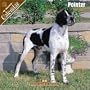 Pointer 2008 Wall Calendar