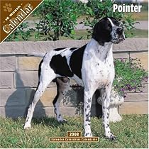 Pointer 2008 Wall Calendar