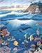 Animal Whale Sea Fish Paradise Art Poster Print - 16" X 20"