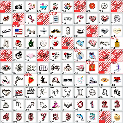 Choose 5 pc of Mix Floating Charms for Floating Locket Free Gift Bag and Free Shipping Exclusively Sold by HOTBUYKING