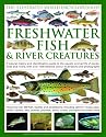 The Illustrated World Encyclopedia of Freshwater Fish & River Creatures: A natural history and identification guide to the animal life of the rivers ... 700 species and 1000 beautiful colour images