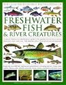 The Illustrated World Encyclopedia of Freshwater Fish & River Creatures