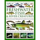 The Illustrated World Encyclopedia of Freshwater Fish and River Creatures: A Natural... by Daniel Gilpin