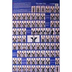 Siu-Nim-Tau POSTER