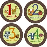 Woodland Creatures Monthly Baby Bodysuit Stickers