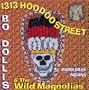1313 Hoodoo Street