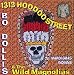 Magnolia-1313 Hoodoo Street