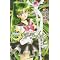 Sailor Moon/Sailor V Deluxe Mangá