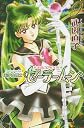 Pretty Guardian Sailormoon, Vol. 9