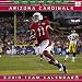 Arizona Cardinals 2010 12x12 Team Wall Calendar