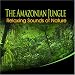 The Amazonian Jungle: Sounds of Nature