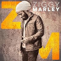 Ziggy Marley Ablum Cover