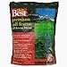 Barenbrug USA 71098 Do it Best Premium Tall Fescue Grass Seed