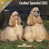 Cocker Spaniel (US) 2011 Wall Calendar #10093-11