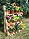 Plant Theatre - herb and flower stage (pots & plants not included). Ideal for the garden, terrace, courtyard, balcony or conservatory. Christmas gift for him, for her & all gardeners. Pictured: Natural wood
