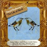 David Rotheray The Life of Birds