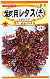 □焼肉用ﾚﾀｽ赤ﾁﾏｻﾝﾁ