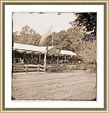 Civil War Photo (S): Washington District of Columbia. The Grand Review of the Army. The Presidential rev
