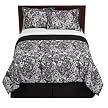 Home Watercolor Paisley Comforter Set - Cal King