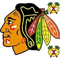 Chicago Blackhawks Removable Logo - 24x24"