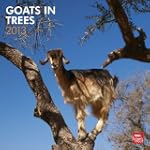 Goats In Trees 2013 Square 12X12 Wall...