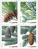 Holiday Evergreen FOREVER Stamps, Strip of 20