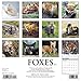 2016 Foxes Wall Calendar