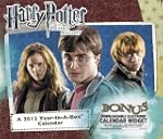 Harry Potter and the Deadly Hallows 2...