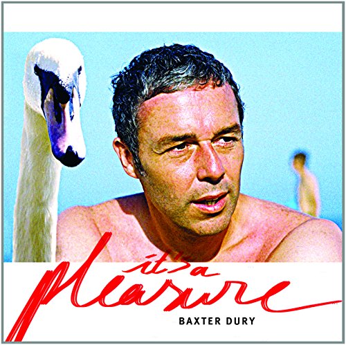 Baxter Dury - Pleasure Lyrics - Zortam Music