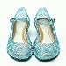 Girls Princess Elsa Shoes For Halloween Costumes (Blue) Kids Size 13