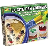 BSM - Jeu �ducatif - La cit� des fourmispar BSM