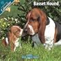 Basset Hound 2010 Wall Calendar #10011-10