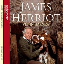 Vet in Harness