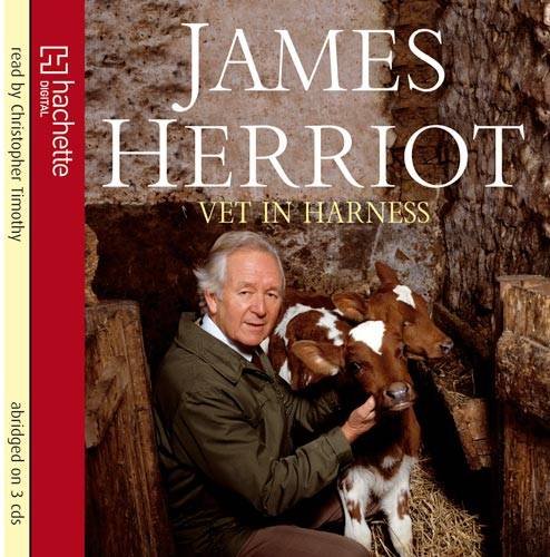 Vet in Harness