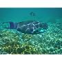 Fujifilm FINEPIX XP30 Outdoor-Digitalkamera (14 Me&hellip von Fujifilm