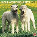 Kalender 2011 Irish Wolfhound - Irischer Wolfshund - Browntrout