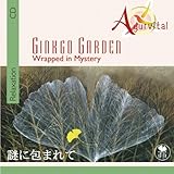 Ayurvital Relaxation Ginko Garden Wrapped in Myste