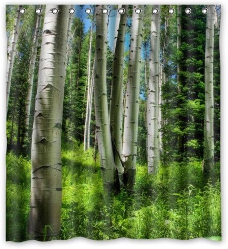 Best Pretty Aspen Shower Curtain, Shower Rings Included 100% Polyester Waterproof 66" x 72"