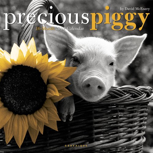 2012 Precious Piggy Wall Calendar