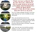 The Guru's How To Earn Extra Money, Success Principles and Biz Networking for Wireless Computer Keyboards Biz 3 CD Package