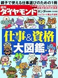 週刊 ダイヤモンド 2010年 11/27号 [雑誌]