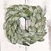 Iced Bay Leaf Wreath - Large