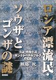 ロシア漂流民・ソウザとゴンザの謎―サンクトペテルブルグの幻影 ロシア漂流民・ソウザとゴンザの謎―サンクトペテルブルグの幻影